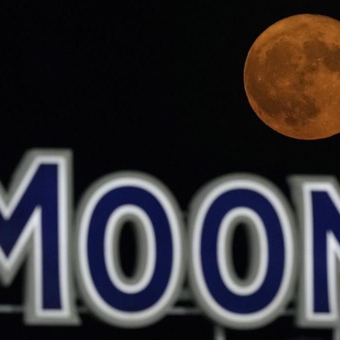 Rare blue supermoon brightens the night sky this week in the closest full moon of the year